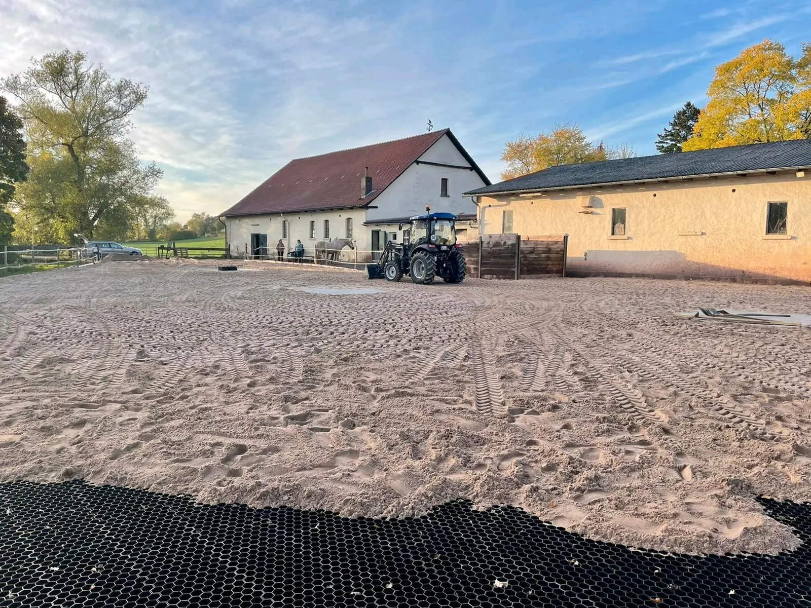 Pferd auf einer befestigten Paddockfläche mit sauberem Untergrund